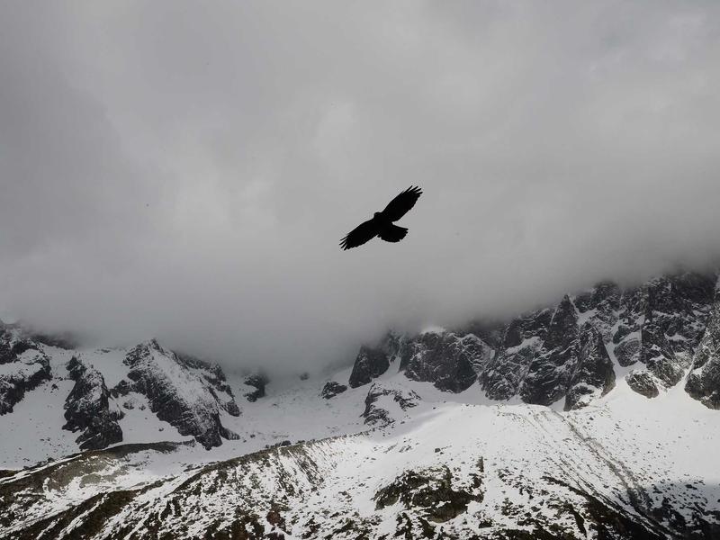 水世界漂流<br>bcxjjkz.cn 深海钻井平台
